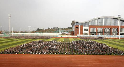 hc015.jpg